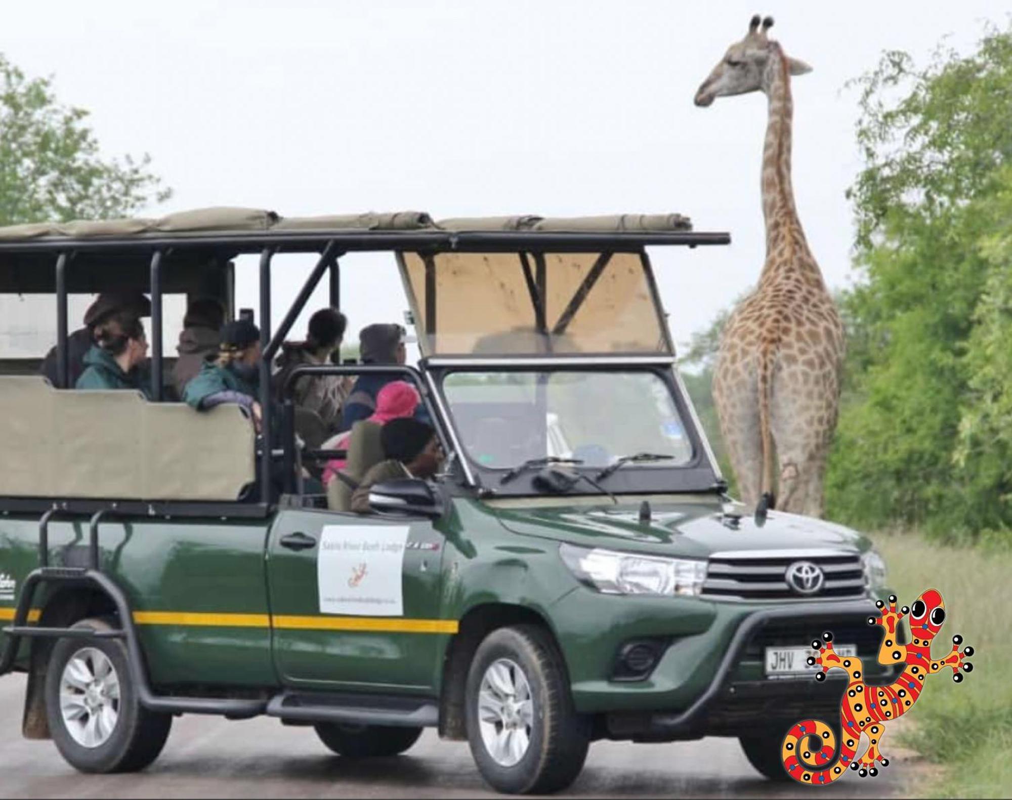Sabie River Bush Lodge Hazyview Dış mekan fotoğraf
