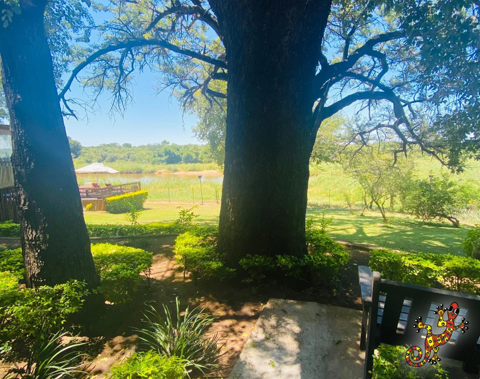 Sabie River Bush Lodge Hazyview Dış mekan fotoğraf